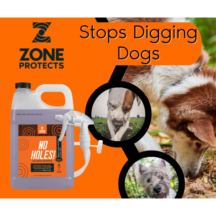 Dog Digging Flower Bed Dig Stop Digging Deterrents Zone Protects