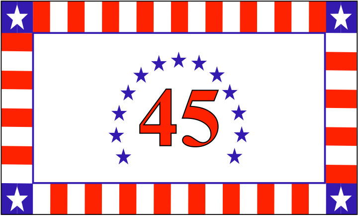 THE 45 FREEDOM FLAG