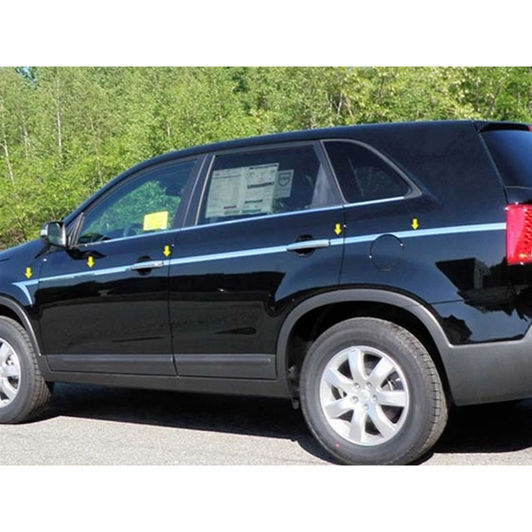 AT11820 Stainless Steel Body Side Molding Accent Trim 12 Pc QAA