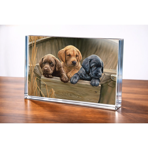All Hands on Deck - Acrylic Photo Block