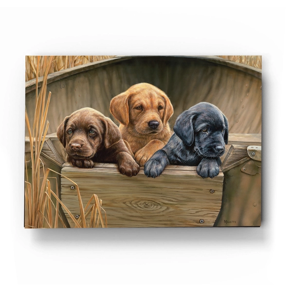All Hands on Deck - Acrylic Wall Art