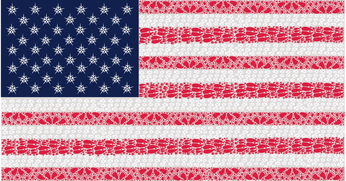 Made In USA | American Flag Note Card