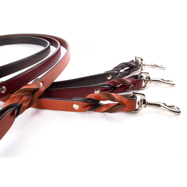 Braided Leash
