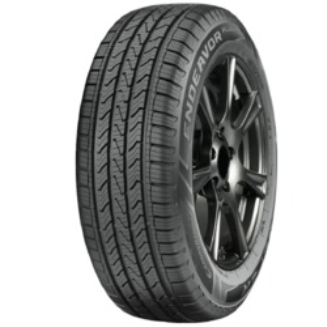 *＊即日発送＊*ENDEAVOR エンデバー THE NEW STANDARD 81UjzPzwHES._UF894,1000_QL80_.jpg
