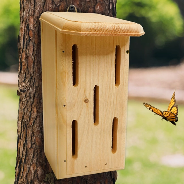 Coveside Small Butterfly House