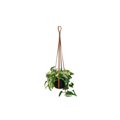 Leather Plant Hanger