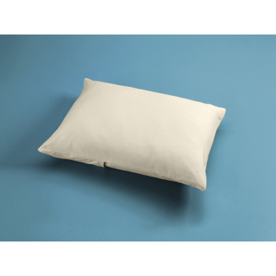 Little Dreamer Toddler Pillow with Organic Cover