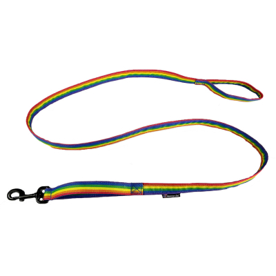 Rainbow Leash