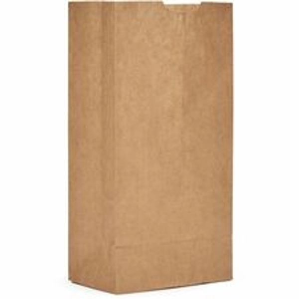 AJM Kraft Paper Grocery Bags - 4.87" x 3.25" - 500/Carton