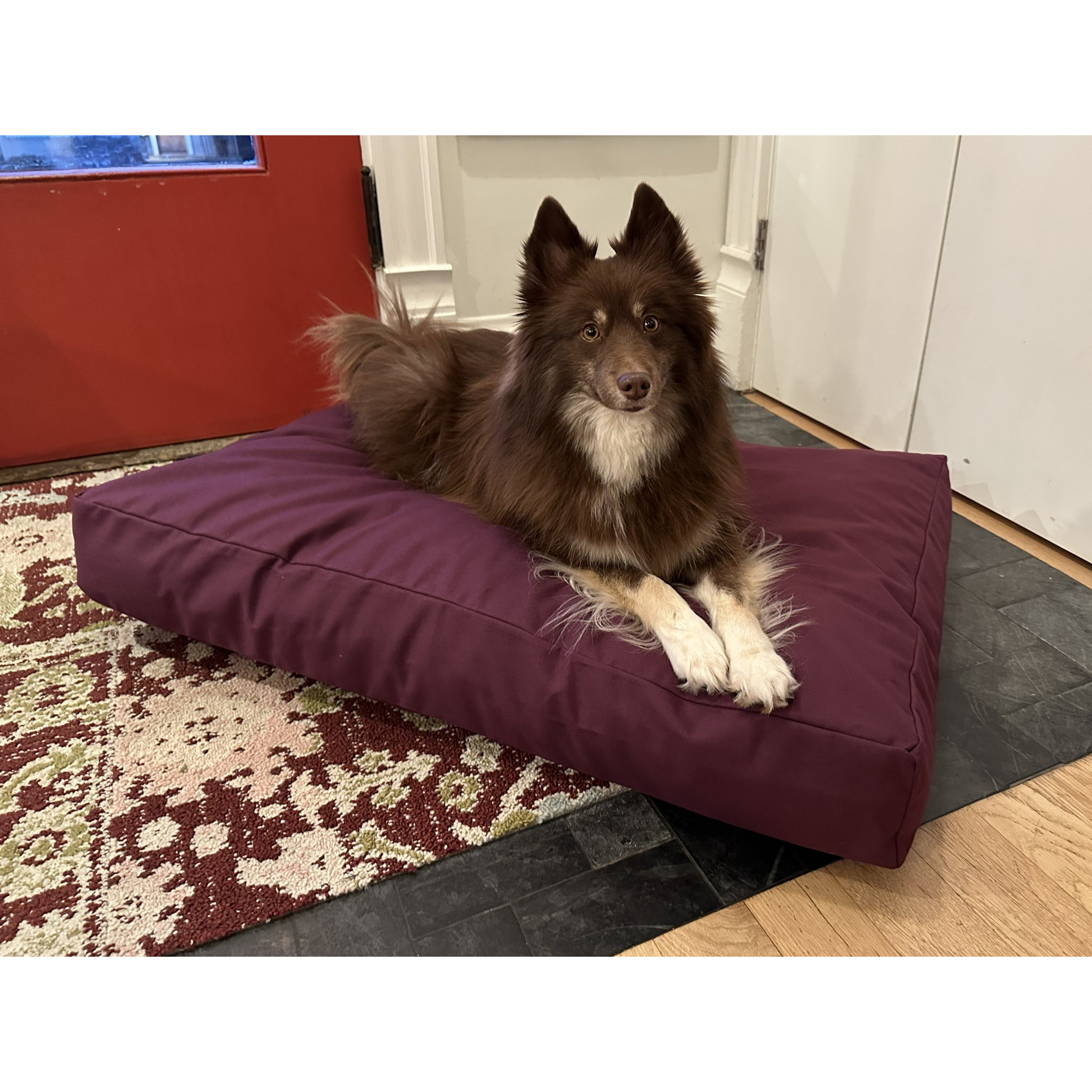 Cotton Duck Canvas Dog Bed - Lightweight CertiPUR Foam Fill