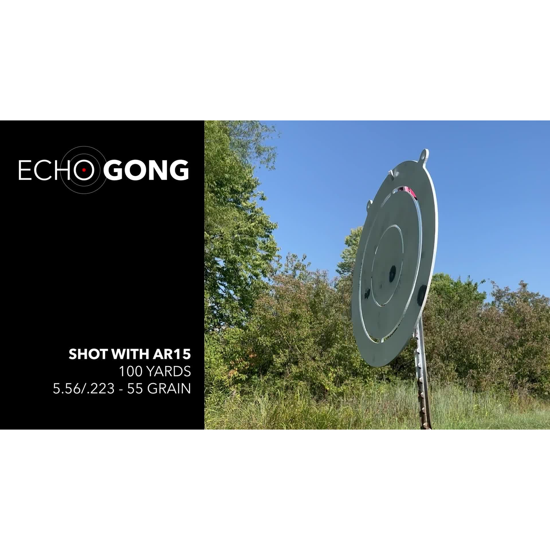 EchoGong 1
