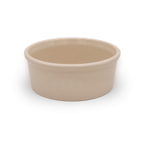Pet Feeder ~ 9" Pet Bowl