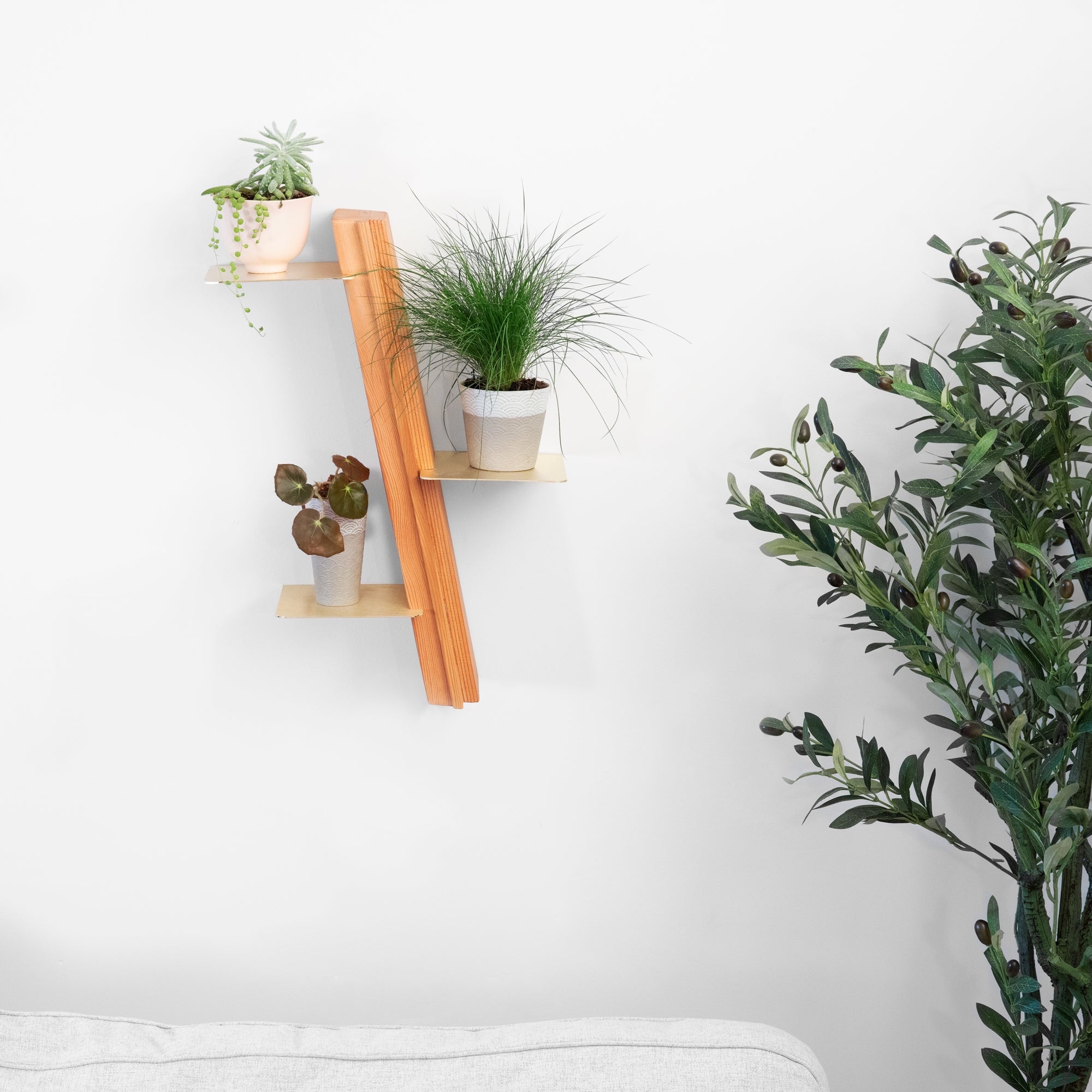 Made In the USA Wallflower plant shelf